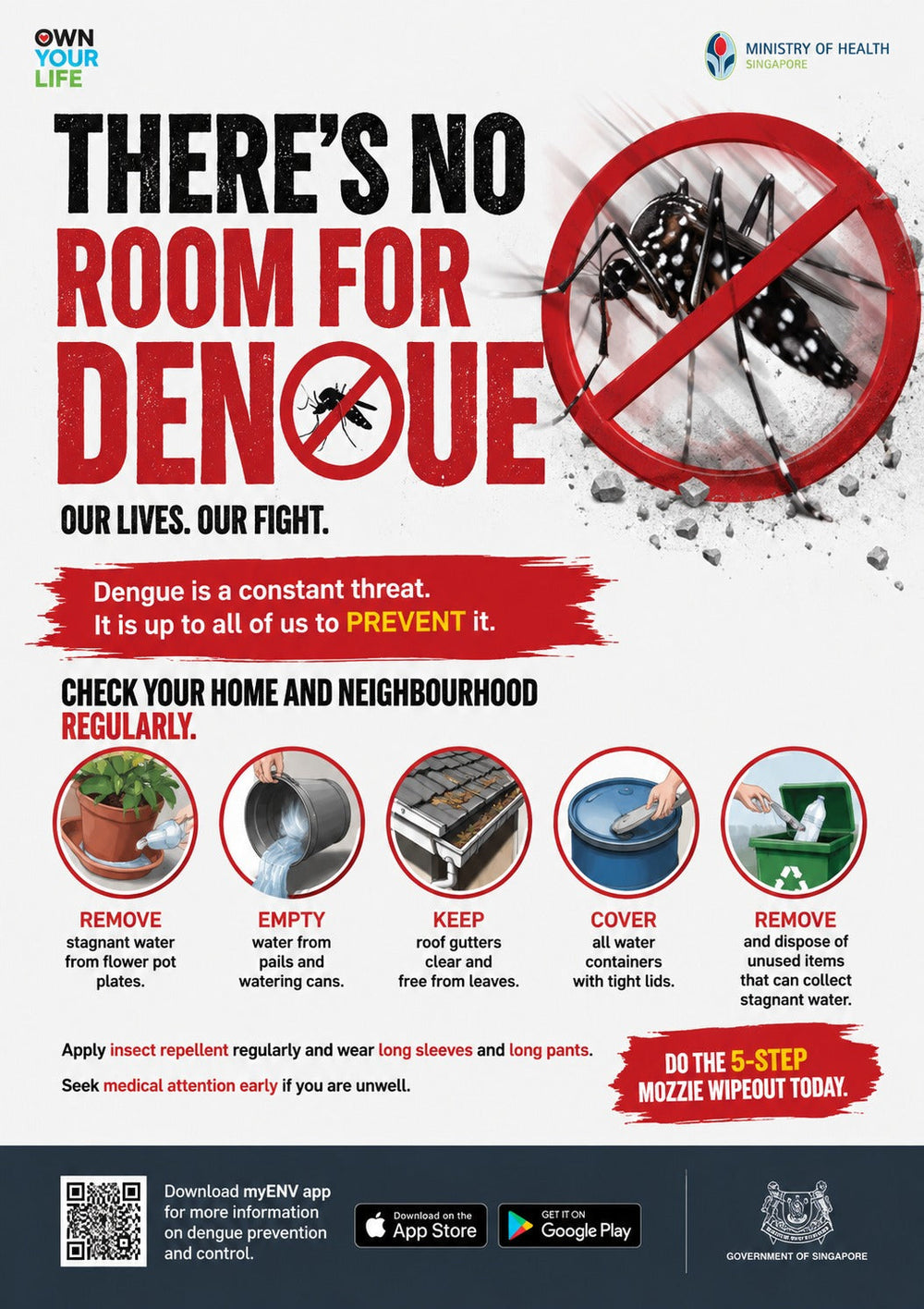 Dengue Cases in Singapore: How Insect Mesh Can Help Protect Your Home