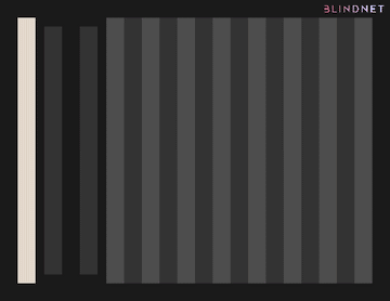 Custom Blinds, Cat Mesh & Insect Screens | Blindnet – BLINDNET